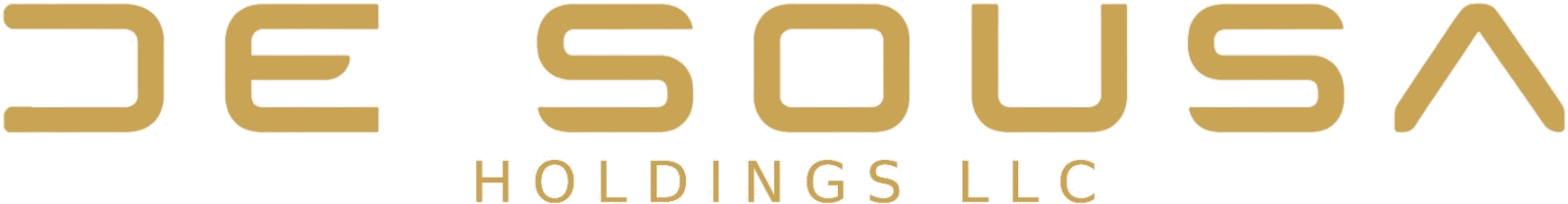 De Sousa Holdings LLC